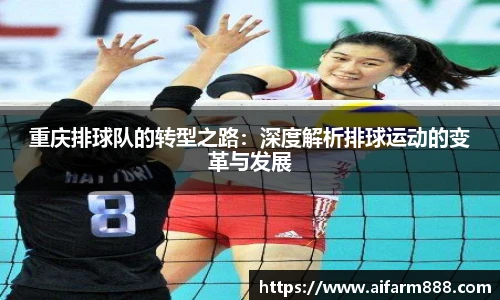 重庆排球队的转型之路：深度解析排球运动的变革与发展